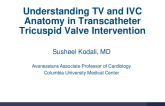 Understanding TV and IVC Anatomy in TTVR