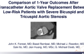 Comparison of 1-Year Outcomes After Transcatheter Aortic Valve Replacement in Low-Risk Patients With Severe Bicuspid and Tricuspid Aortic Valve Stenosis
