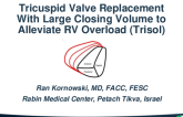 Tricuspid Valve Replacement With Large Closing Volume to Alleviate RV Overload (Trisol)