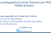 Echocardiography & Aortic Stenosis Pre-TAVR: Pitfalls & Pearls
