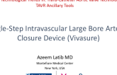 Single-Step Intravascular Large Bore Arterial Closure Device (Vivasure)