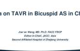 Data on TAVR in Bicuspid AS in China (Self-Expanding Valve – Venus A Valve)