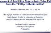 How to Manage a SMALL Size Bioprosthetic Valve Failure
