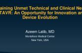 Remaining Unmet Technical and Clinical Needs in TAVR: Opportunities for Innovation to Improve Clinical Outcomes