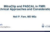 MitraClip and Pascal in FMR: Technical Approaches and Considerations