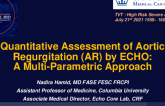 Quantitative Assessment of AR Severity by Echo: A Multi-parametric Approach