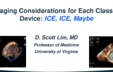 Imaging Considerations for Each Class of Devices: ICE ICE. Maybe