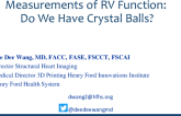 Measurements of RV Function: Do We Have Crystal Balls?