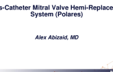Trans-Catheter Mitral Valve Hemi-Replacement System (Polares)
