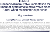 Transapical Mitral Valve Implantation for Treatment of Symptomatic Mitral Valve Disease: A Real-world Multicenter Experience