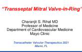 Case Presentation 2: Challenging Mitral Valve-in-Ring Case