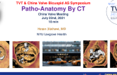 Didactic Lecture on Patho-Anatomy by CT