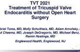 Treatment of Fungal Tricuspid Valve Endocarditis Without Open Heart Surgery