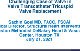 A Challenging Case of Valve in Valve TTVR