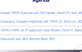 TMVR in MAC TF Approach Case Review