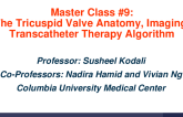 Master Class: The Tricuspid Valve: Anatomy, Imaging, Transcatheter Therapy Algorithm