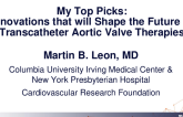 My Top Picks: Innovation that will Shape the Future of Trans-Catheter Aortic Valve Therapies