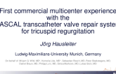 First Commercial Multicenter Experience With the PASCAL Transcatheter Valve Repair System for Tricuspid Regurgitation