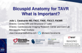 Bicuspid Anatomy for TAVR: What Is Important?