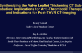 Synthesizing the Valve Leaflet Thickening CT Sub-studies: Implications for Anti-Thrombotic Therapy and Indications for Post-TAVR CT-Imaging