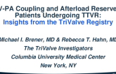 Right Ventricular-Pulmonary Arterial Coupling and Afterload Reserve in Patients Undergoing Transcatheter Tricuspid Valve Therapy: Insights From the International TriValve Registry