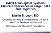 Trans-Apical Systems: Clinical Experiences in Large RCTs and Registries