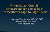 MASTER CLASS #3: Echo Imaging in TEER