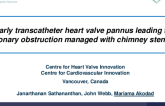 Early Transcatheter Heart Valve Pannus Leading to Coronary Obstruction Managed With Chimney Stenting