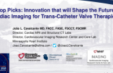 My Top Picks: Innovation that will Shape the Future of Cardiac Imaging for Trans-Catheter Valve Therapies
