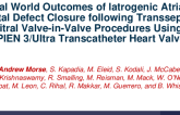 1-Year Clinical Outcomes of ASD Closure following Transseptal Mitral Valve-in-Valve Procedures Using SAPIEN 3 Valve Prosthesis in a Propensity-Matched Analysis