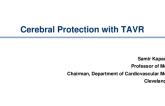 Cerebral Embolic Protection: Updates From the Clinical Trials and Future Directions