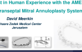 FIH Experience of the AMEND Transeptal Mitral Annuloplasty System (Valcare)