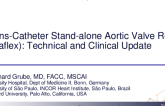 Trans-Catheter Stand-alone Aortic Valve Repair (Leaflex): Technical and Clinical Update
