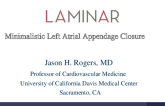LAA Closure with the LAMINAR Device: Concept and Preliminary Results from the FIM Study