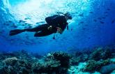 New Data Back Closing Large PFOs to Prevent Decompression Sickness in Divers