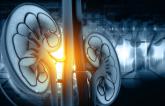 Rivaroxaban Safe, Effective in Renal Disease: VOYAGER PAD 