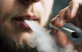 For Young Adults, Cannabis Tied to Doubling of MI Risk