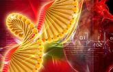 Polygenic Risk Score IDs People at Risk for Early MI, Death