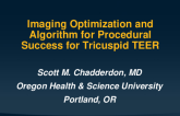 Imaging Optimization and Algorithm for Procedural Success