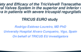 Safety and Efficacy of the TricValve® Transcatheter Bicaval Valves System in the Superior and Inferior Vena Cava in Patients with Severe Tricuspid Regurgitation