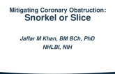 Mitigating Coronary Obstruction: Snorkel or Slice