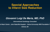 Special (Device/Drug) Approaches to Infarct Size Reduction