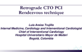 TCT 548: Retrograde CTO PCI Rendezvous Technique