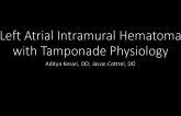 TCT 565: Left Atrial Intramural Hematoma