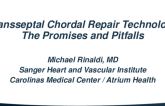 Transseptal Chordal Repair Technology - The Promise and The Pitfalls