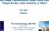 What Plaque Characteristics Cause Future Events: Plaque Burden, Lipid, Ischemia, or Other?