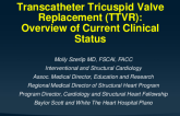 Transcatheter Tricuspid Valve Replacement: Overview of Current Clinical State
