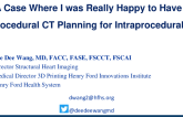 A Case Where I Was Really Happy to Have Pre-Procedural CT Planning as Additive Planning for Intraprocedural TEE