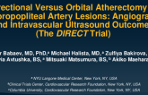 Directional Versus Orbital Atherectomy of Femoropopliteal Artery Lesions: Angiographic and Intravascular Ultrasound Outcomes