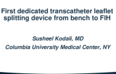 First Dedicated Transcatheter Leaflet Splitting Device From Bench to FIH (ShortCut)